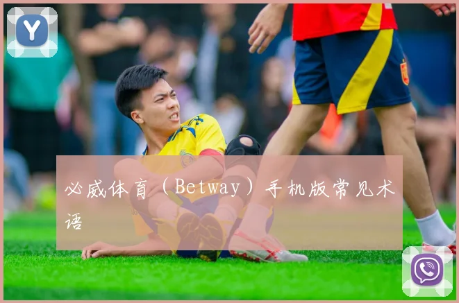必威体育（Betway）手机版常见术语