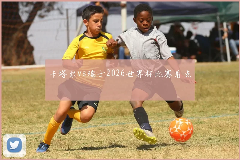 卡塔尔vs瑞士2026世界杯比赛看点