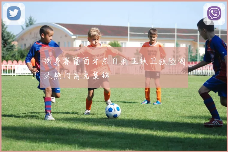 热身赛葡萄牙尼日利亚铁卫救险淘汰热门高光集锦