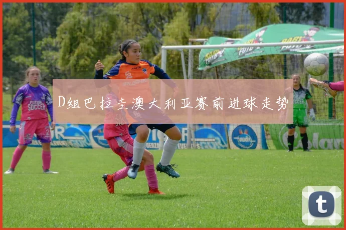 D组巴拉圭澳大利亚赛前进球走势
