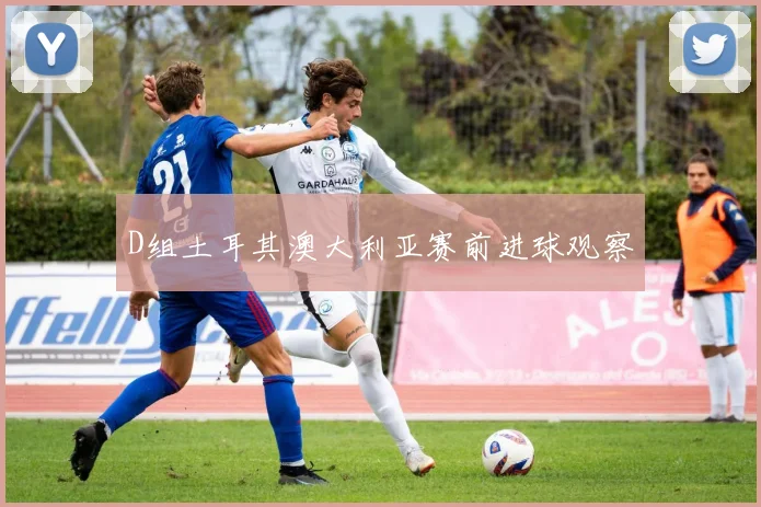 D组土耳其澳大利亚赛前进球观察