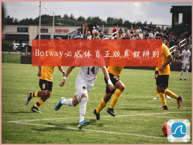 Betway必威体育正版真假辨别