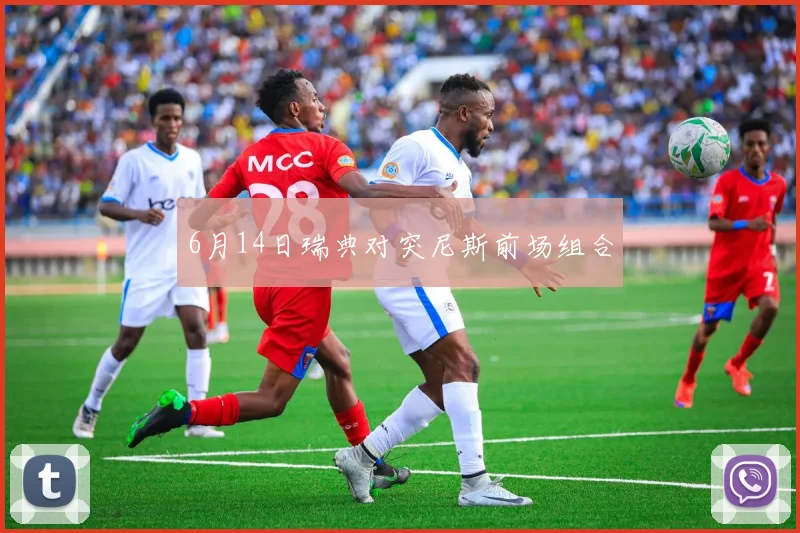6月14日瑞典对突尼斯前场组合